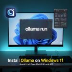 install Ollama on Windows 11
