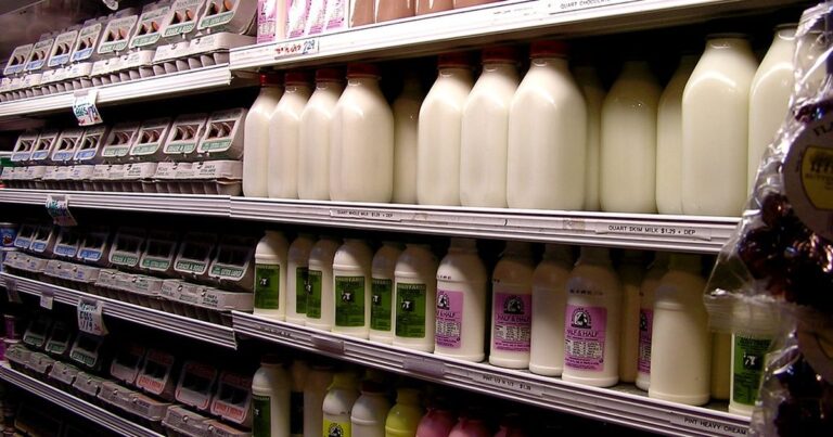 Small business grocery shop shelf